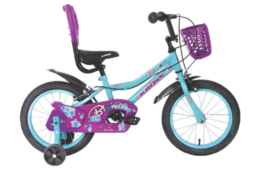 Bloom 16t
