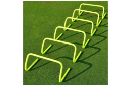 Agility Hurdles and Agility Ladders